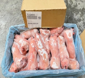 DỰNG TRƯỚC TONIE