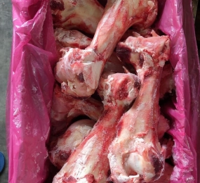 Xương ống Bò có Gân 71+72