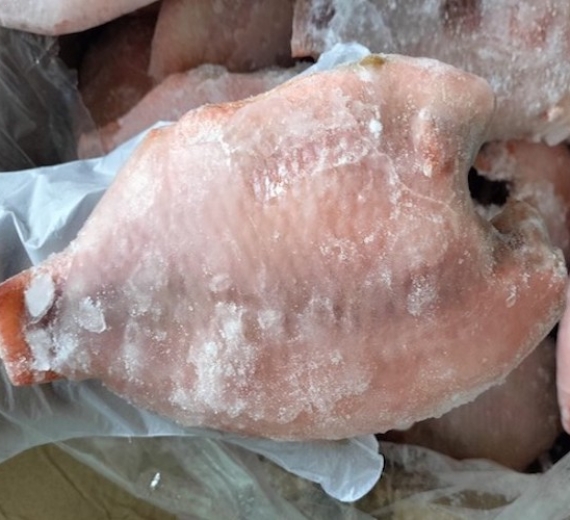 Cá Diêu Hồng Đông Lạnh Làm Sạch